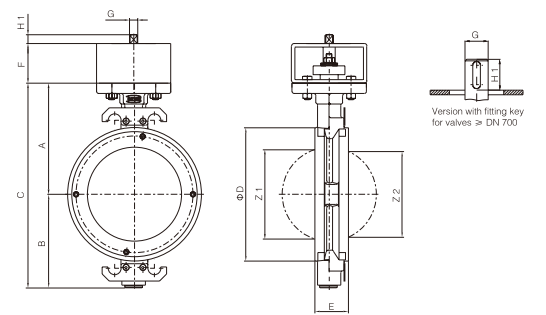 Double Eccentric Wafer Butterfly Valve.png Double Eccentric Wafer Butterfly Valve.png